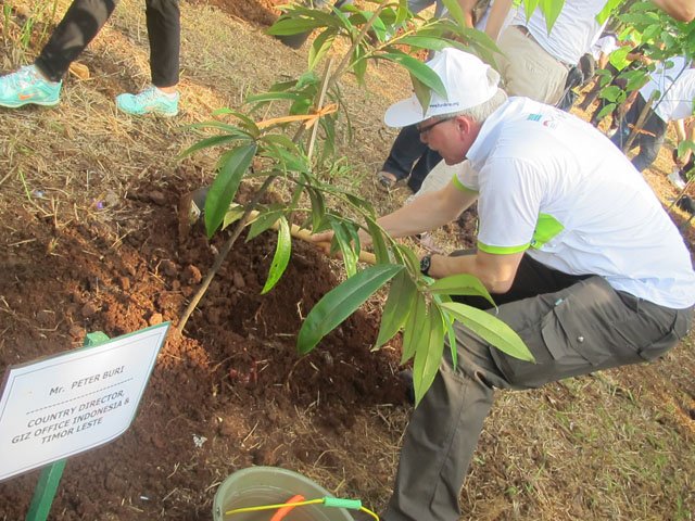 Mr Peter Buri_planting tree-at IDF 2015_ratu wina